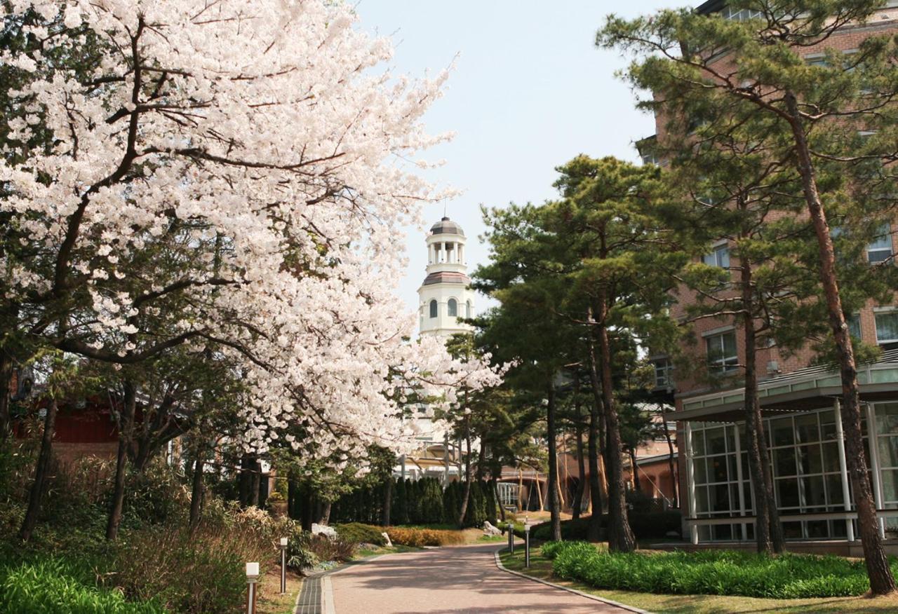 Mayfield Hotel Seoul Seul Exterior foto